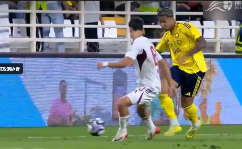 熊貓體育詐騙的真相大揭秘！3個關鍵指標幫你辨識